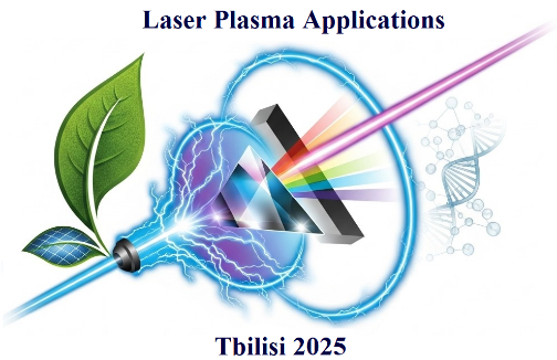Nano 2024 Logo
